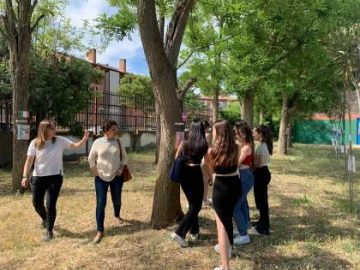 bosque_2023